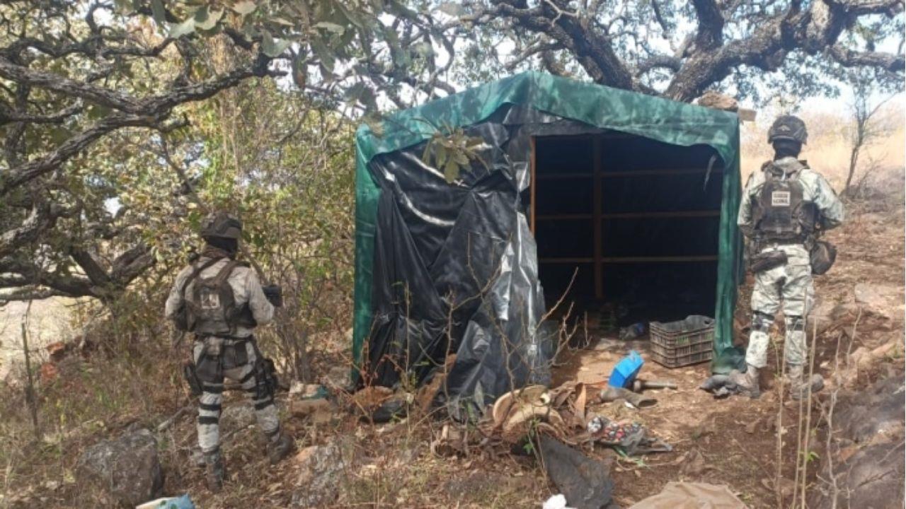 Aseguran 11 explosivos en un  campamento clandestino en Jalisco