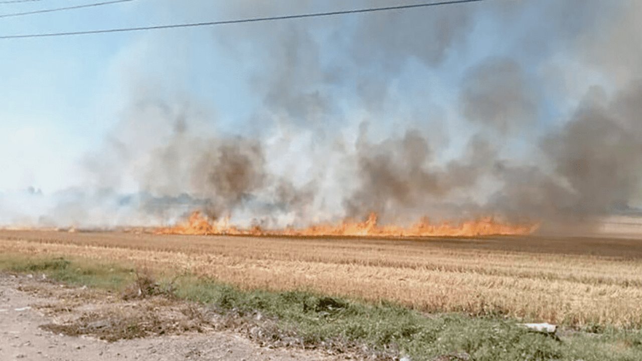 Se reduce 18.89% incendios por quemas agropecuarias en México