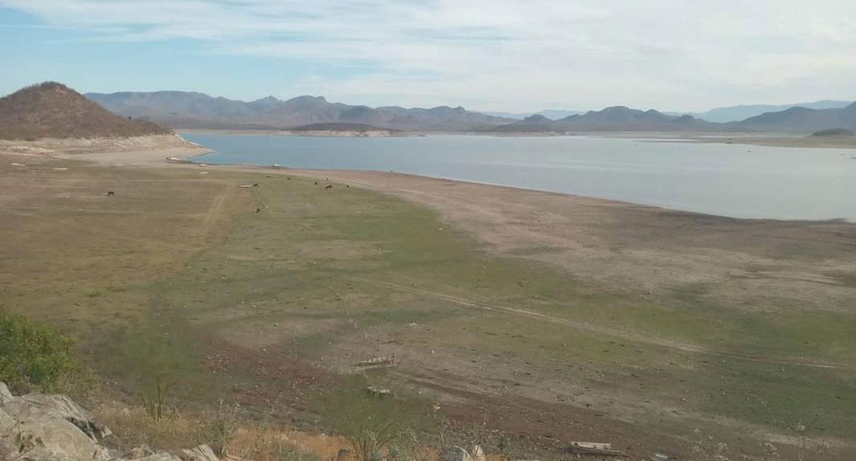 Agricultores del sur de Sonora en jaque por bajos niveles de agua