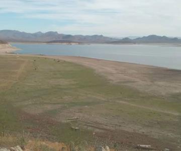 Agricultores del sur de Sonora en jaque por bajos niveles de agua