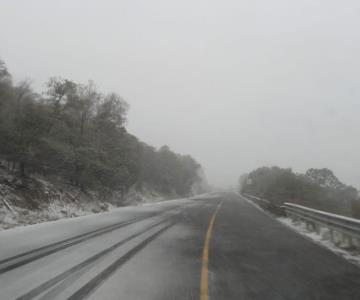 Cierran circulación en el tramo Ímuris-Cananea por caída de nieve