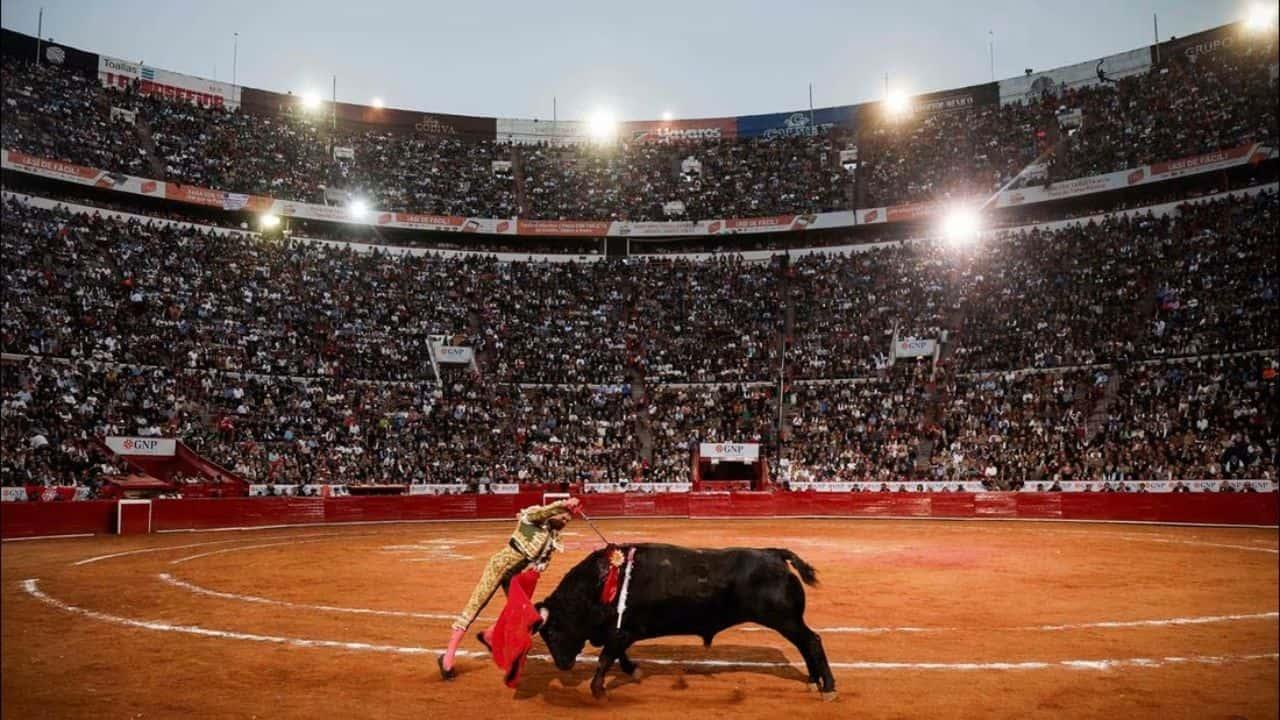 Jueza niega suspensión definitiva de corridas de toros en La Plaza México