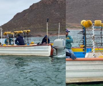 Realizan prueba exitosa de jaula anti tiburones para pescadores en Sonora