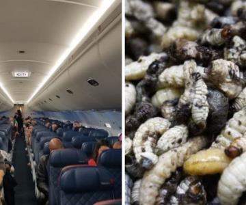 Lluvia de gusanos obliga a vuelo de Delta Air Lines aterrizar