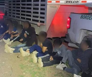 Patrulla Hípica Fronteriza localizó a 16 migrantes en Douglas