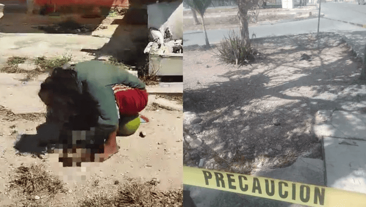 Detienen a mujer por comerse un gato en la vía pública en Yucatán