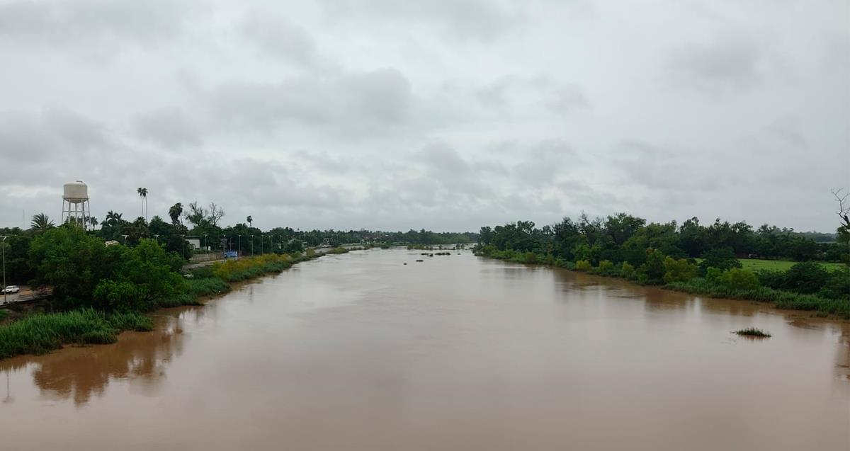 Avistamiento de cocodrilo en río Sinaloa; se extreman precauciones