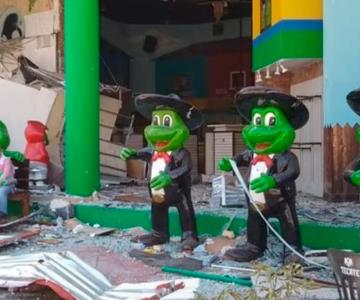 Encuentran en Neza ranas de Señor Frogs desaparecidas en Acapulco