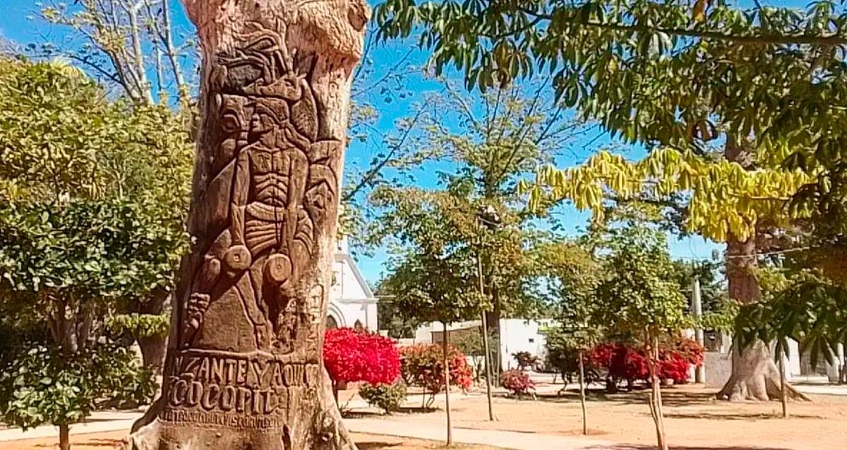 Retirarán árbol con escultura del Danzante Yaqui