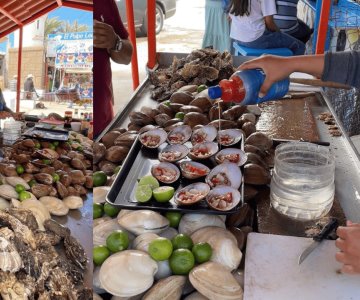 Comerciantes de Kino se preparan para la venta de almejas en Semana Santa