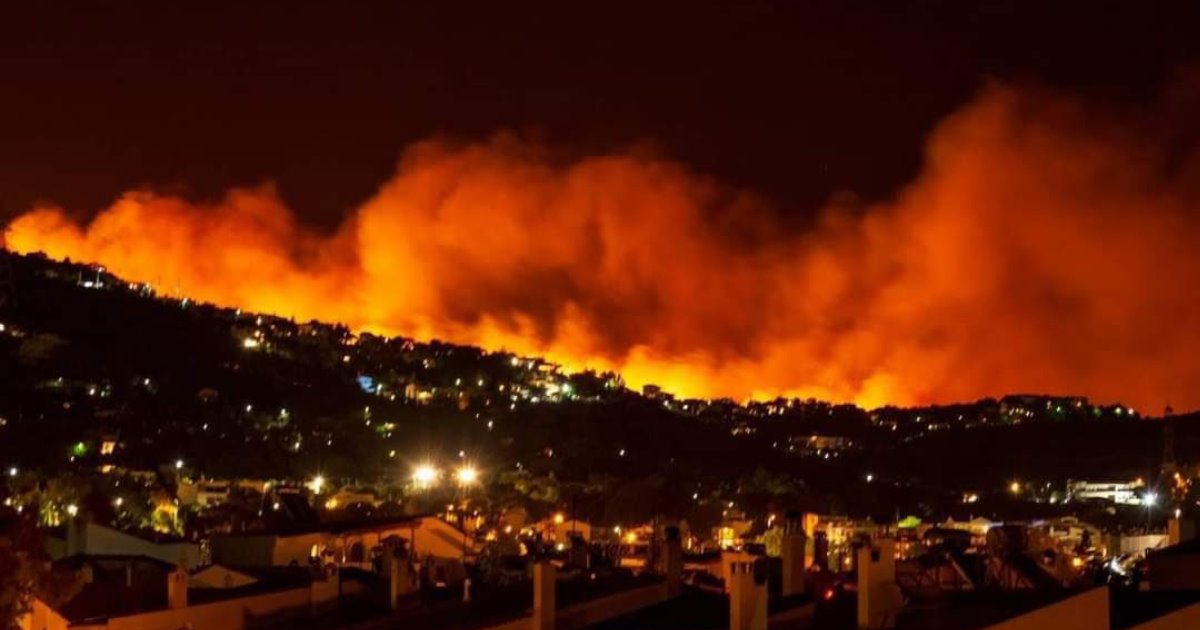 Incendios forestales arrasan en Veracruz; cinco incidentes en últimas horas