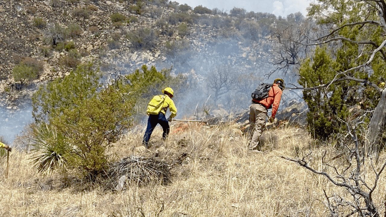Sonora destaca por baja incidencia de incendios forestales: Conafor