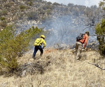 Sonora destaca por baja incidencia de incendios forestales: Conafor