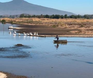 Escasez de agua es consecuencia del saqueo de lagos: UNAM