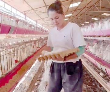 México está totalmente libre de influenza aviar; logro con impacto en Sonora