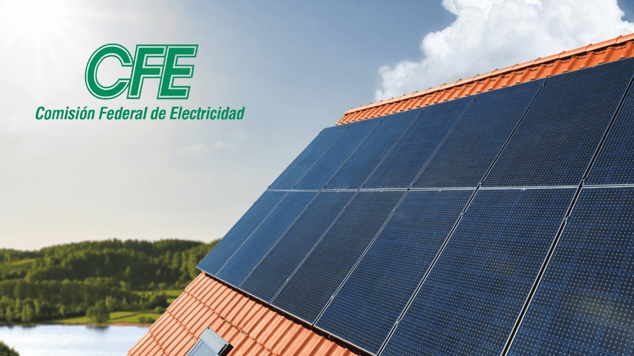 ¿CFE regala paneles solares? Esto es lo que sabemos