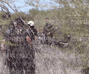Autoridades buscan presunta avioneta que se desplomó al norte de Hermosillo