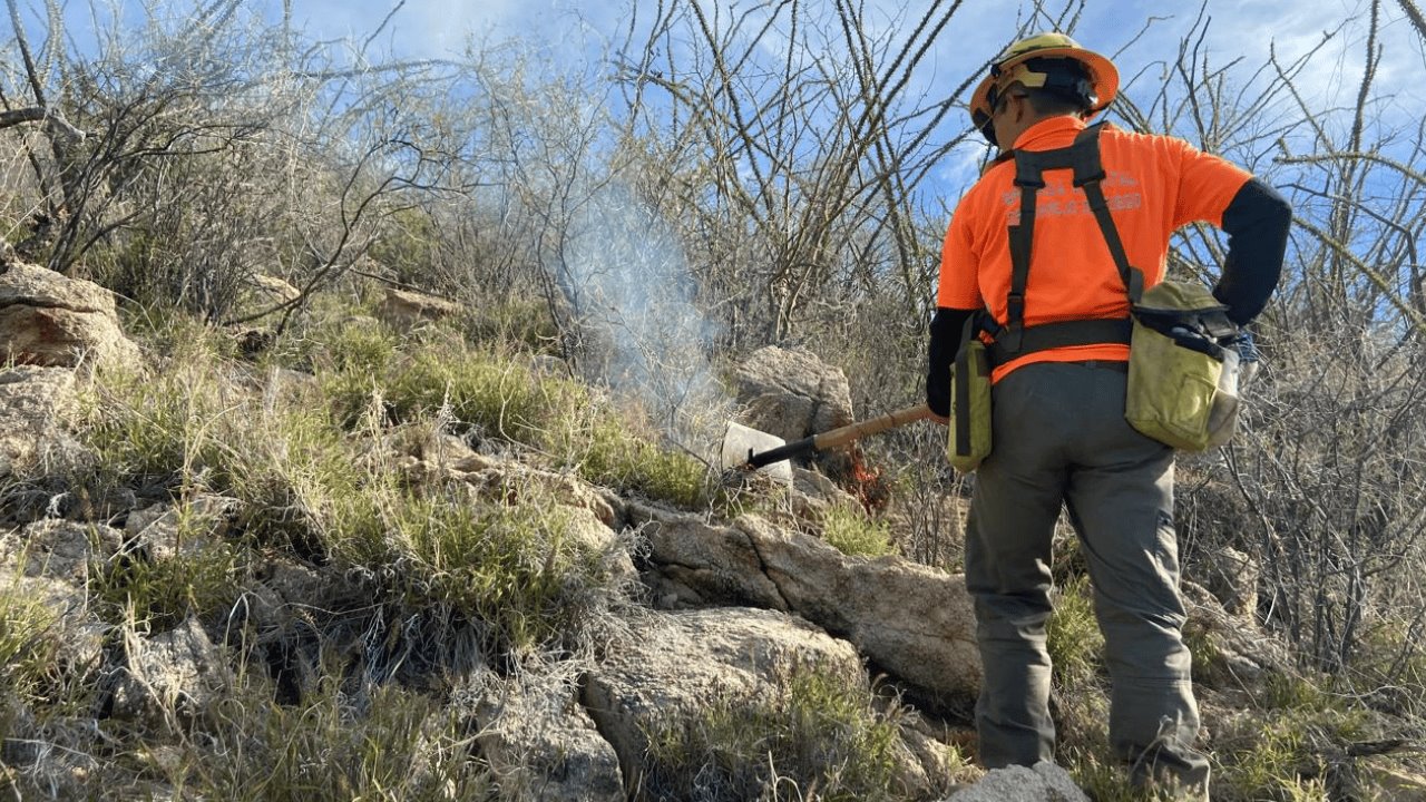 Cuerpos de emergencias logran combatir con éxito incendio forestal en Trincheras