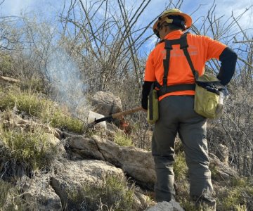 Cuerpos de emergencias logran combatir con éxito incendio forestal en Trincheras