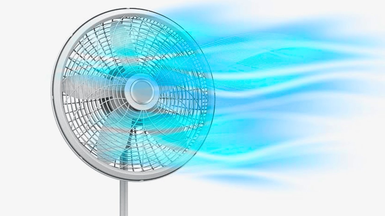 Profeco revela cuál es el mejor ventilador para combatir el calor