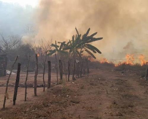 Suman 9 incendios forestales activos en municipios de Sinaloa