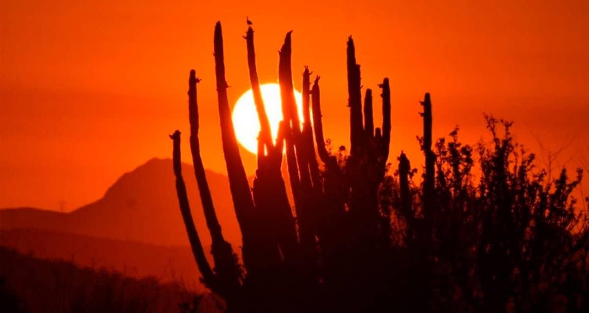 Prevén llegada de temperaturas superiores a los 40 grados en mayo