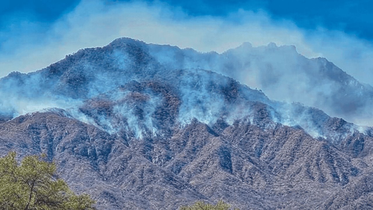 Sube el riesgo de incendios forestales por altas temperaturas y baja humedad
