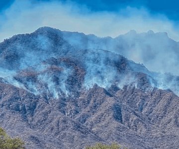 Sube el riesgo de incendios forestales por altas temperaturas y baja humedad