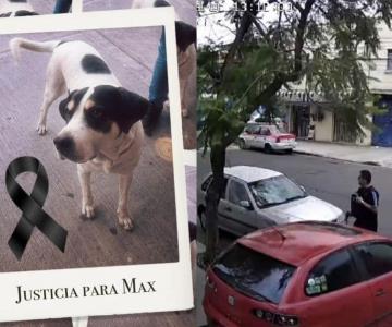 Liberan a presunto agresor de Max, perro asesinado a balazos en la CDMX