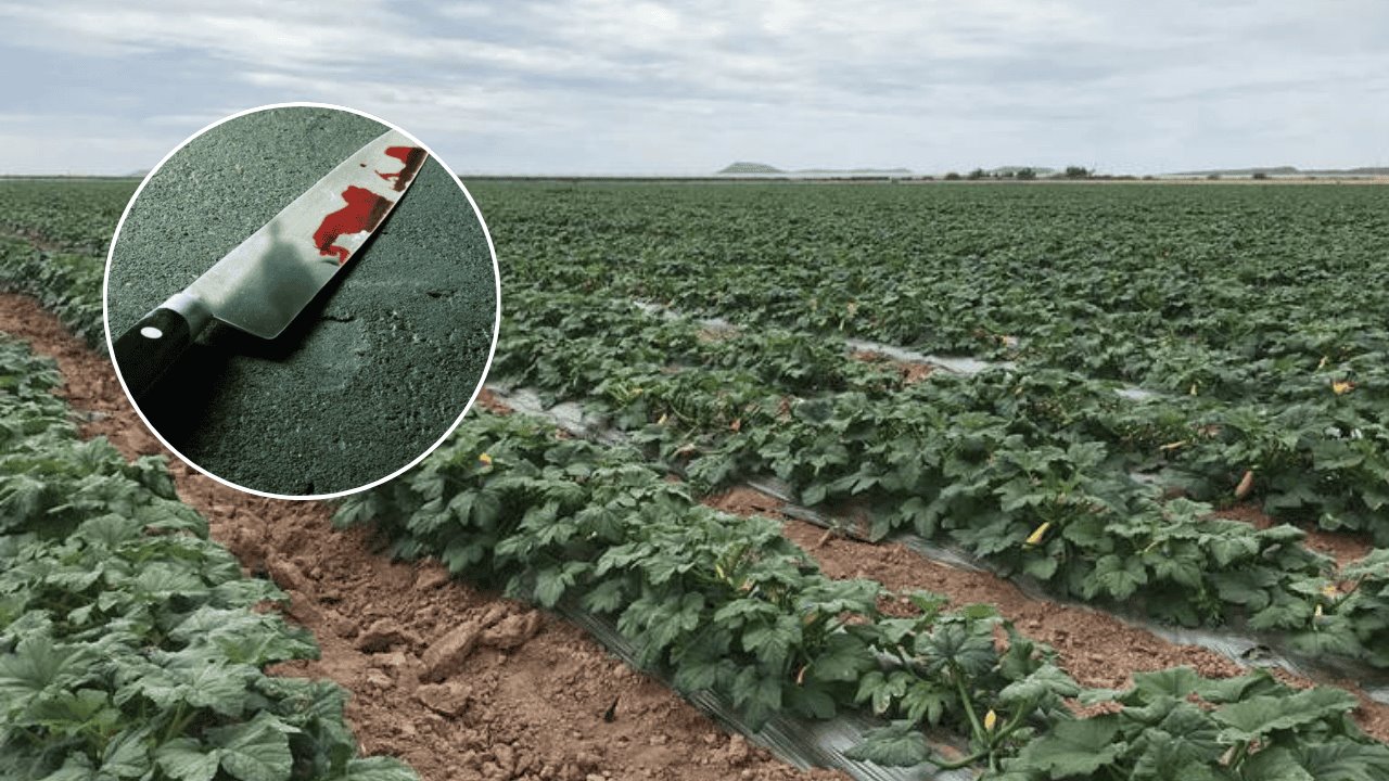 Mujer es detenida por lesionar con arma blanca a compañera en campo agrícola