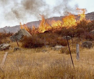 Se han registrado 16 incendios forestales en el estado, reporta la CEPC