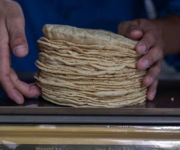 Precio de la tortilla baja por primera vez en el año en Hermosillo