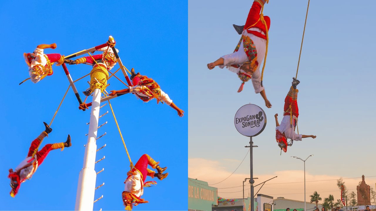 Voladores de Papantla mantienen su tradición en Hermosillo