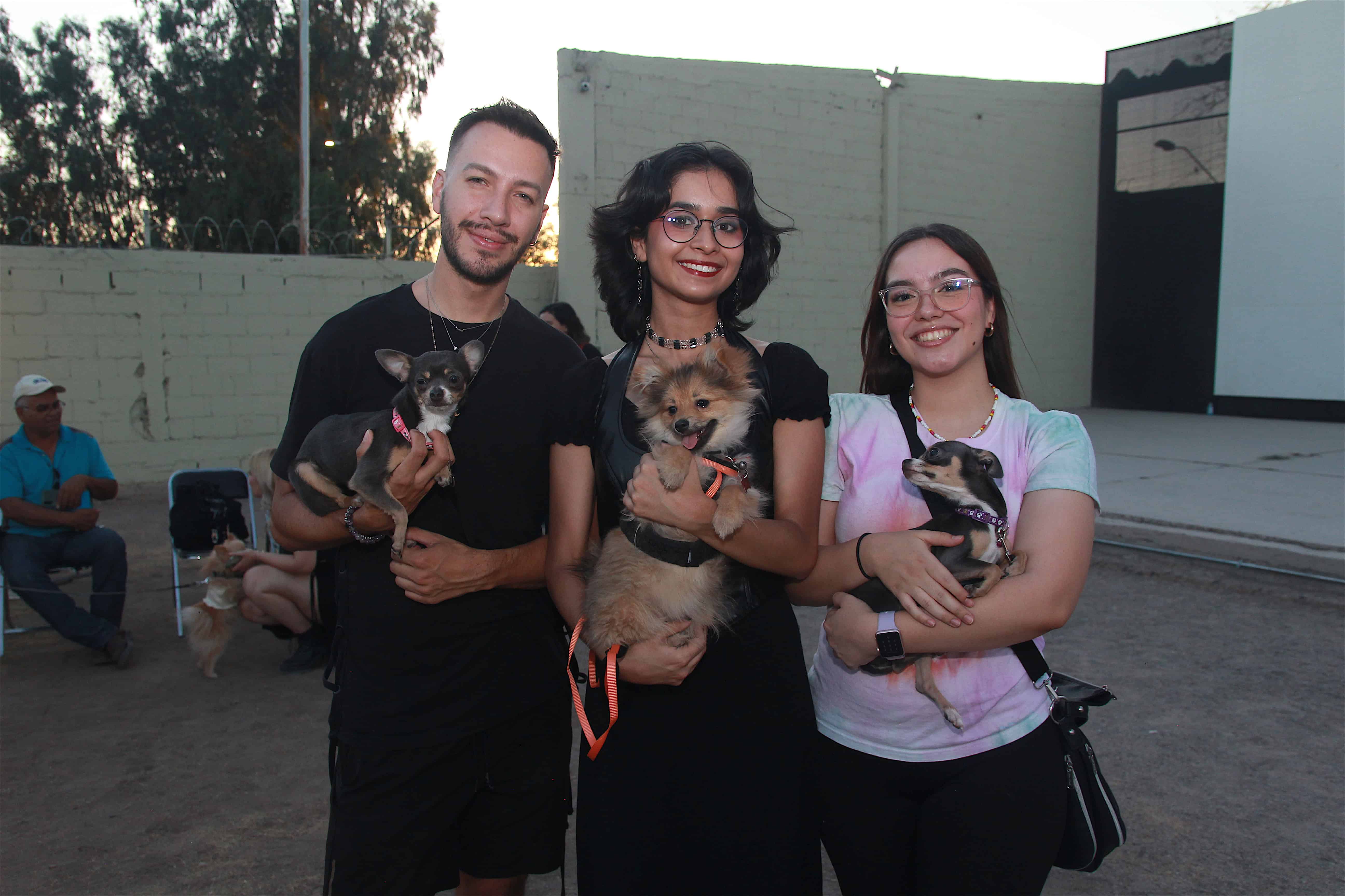 Deslumbran con ternura en Pasarela de Patitas