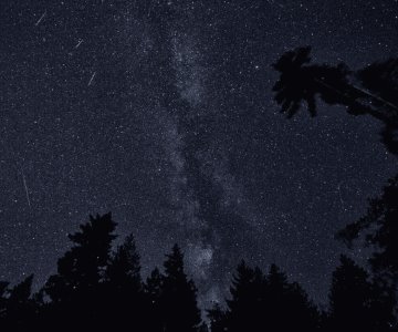 Lluvia de estrellas Perseidas 2024: cuándo y cómo ver este fenómeno