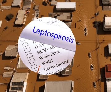 Inundaciones en Brasil desatan leptospirosis; hay 13 muertos confirmados