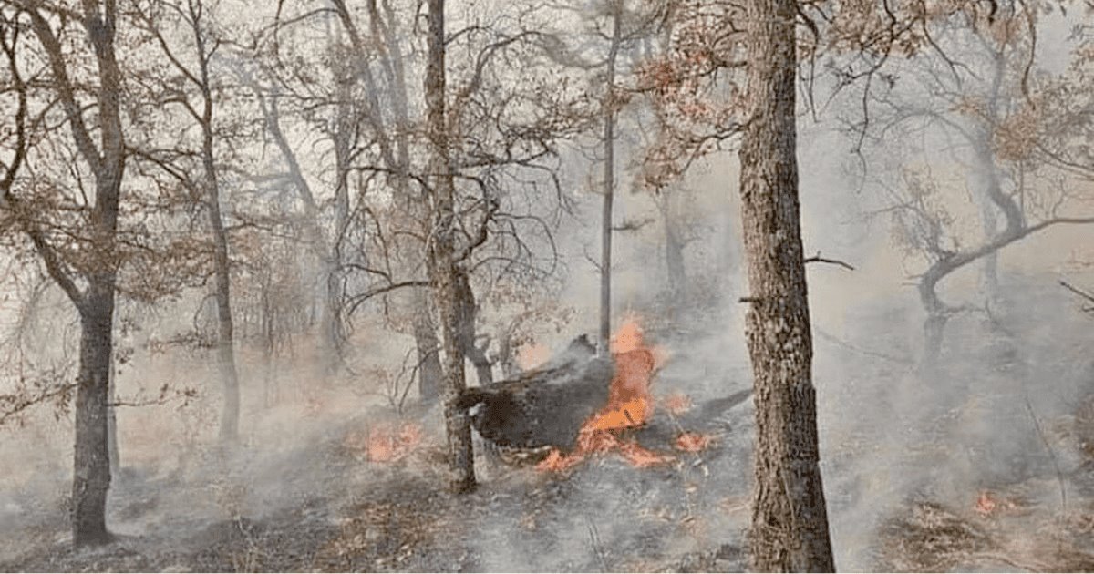 Protección Civil analizará calidad de aire en Yécora tras incendio forestal