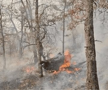 Protección Civil analizará calidad de aire en Yécora tras incendio forestal