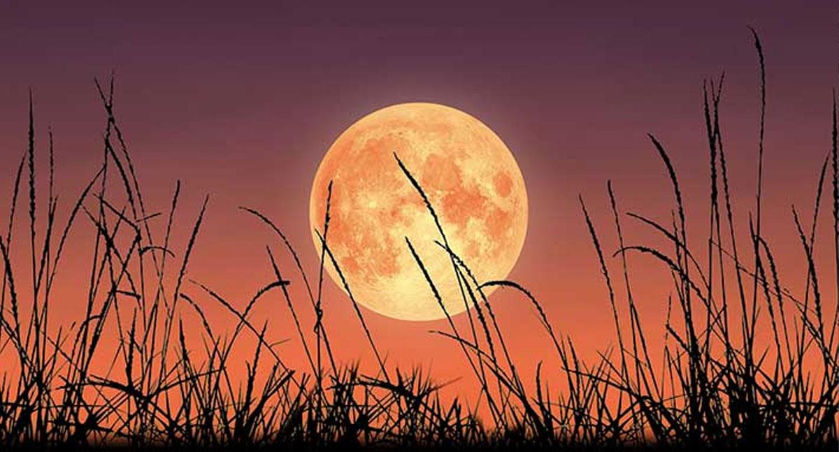 ¿Cuándo ocurrirá el fenómeno del Luna de Cosecha?