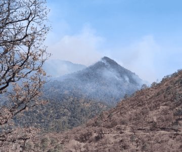 Incendio forestal en Yécora es extinguido