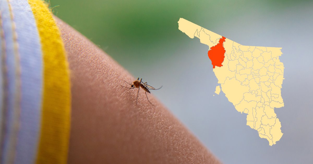 Van 8 casos de dengue registrados en el estado