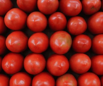 Liberan al tomate mexicano de certificación sanitaria en EU tras 4 años