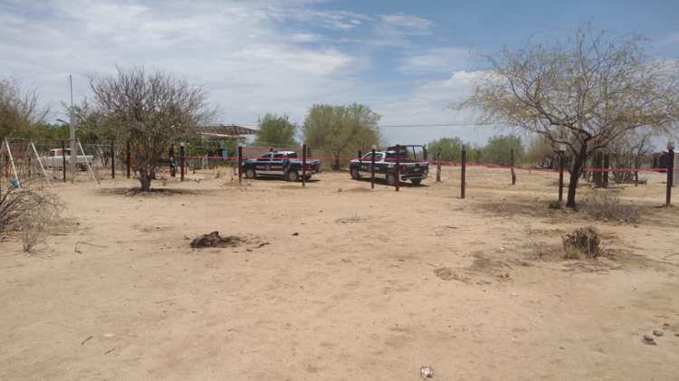 Denuncian envenenamiento de 8 perros en refugio de Hermosillo