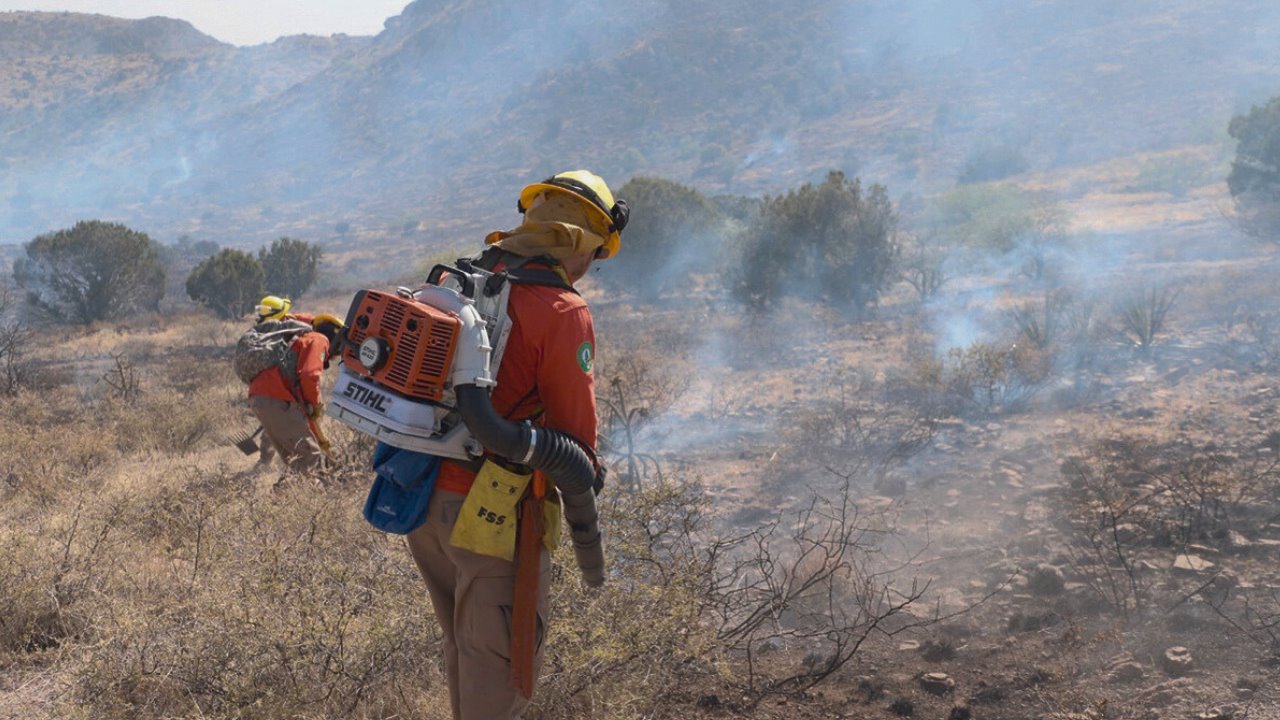 Al menos 105 brigadistas liquidan incendios forestales en Agua Prieta