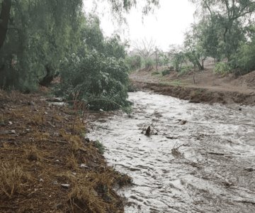 Muere menor tras resbalarse y ser arrastrado por corriente de Río Guanajuato