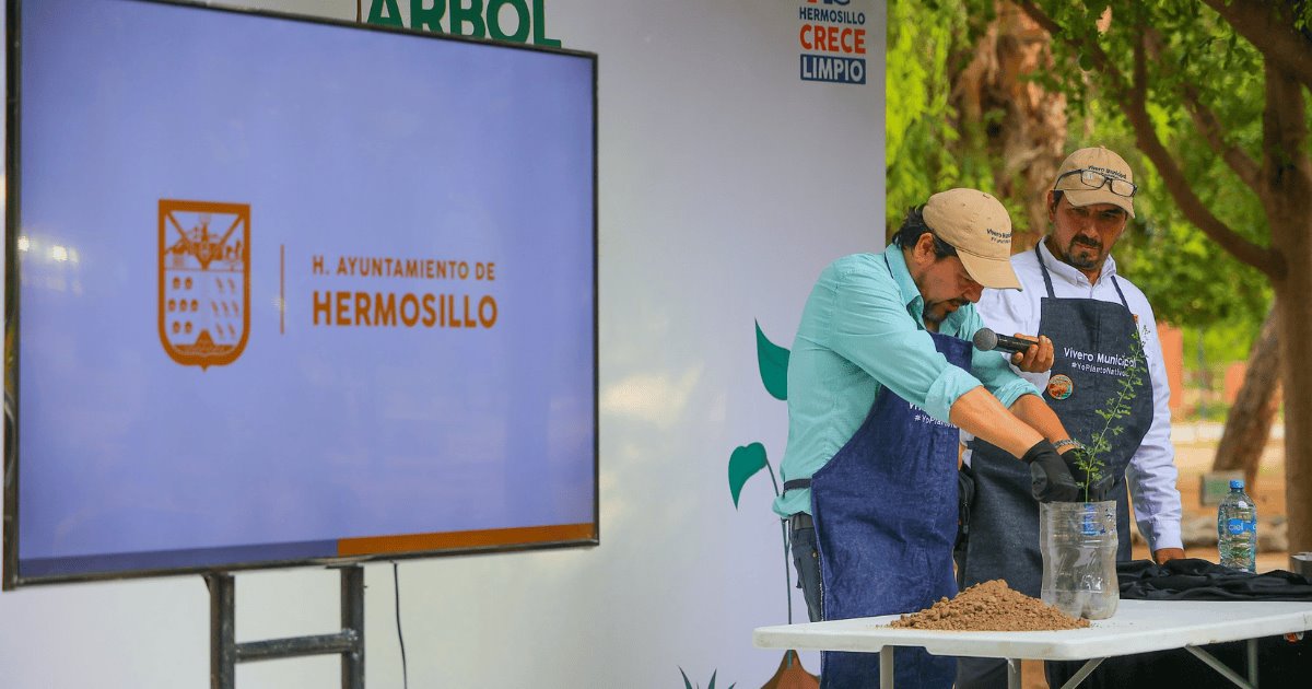 Regalan 600 árboles nativos en la Feria del Árbol del Parque Madero