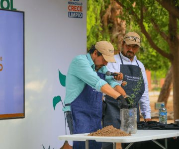 Regalan 600 árboles nativos en la Feria del Árbol del Parque Madero