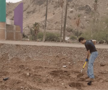 Convertirán en bosque el Parque Hundido de la Sauceda