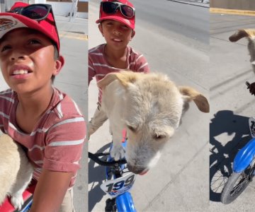 Niño hermosillense conmueve en redes: lleva a su perro a ver a su madre muerta