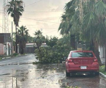 Fuertes lluvias en Santa Ana causan daños en 19 viviendas: Protección Civil